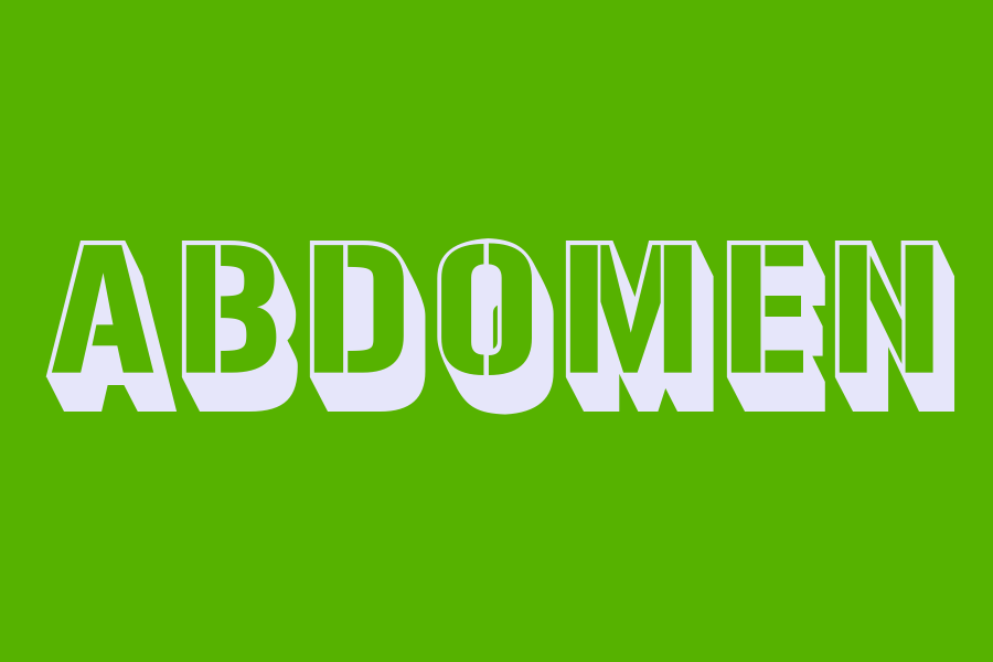 abdomen