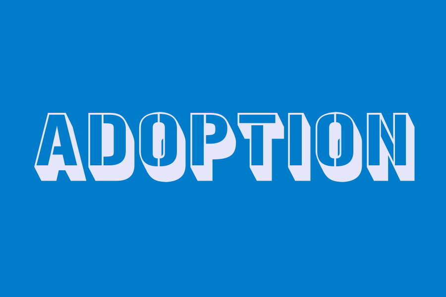 adoption