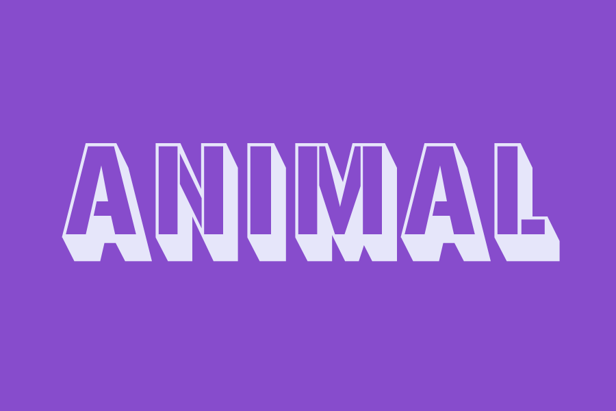 animal