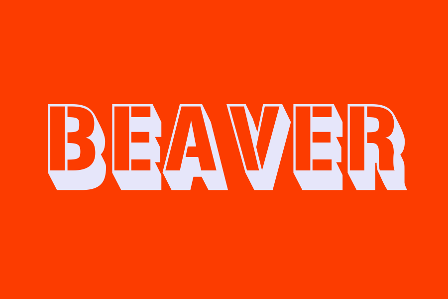 beaver
