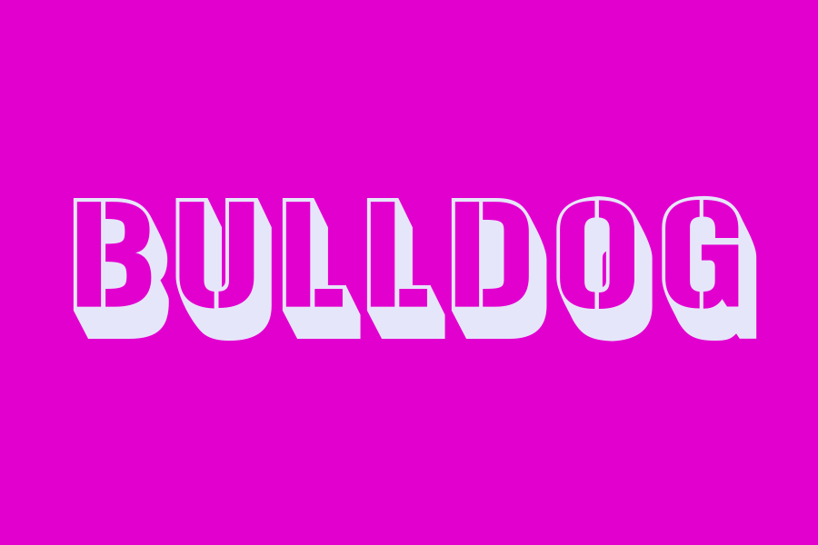 bulldog
