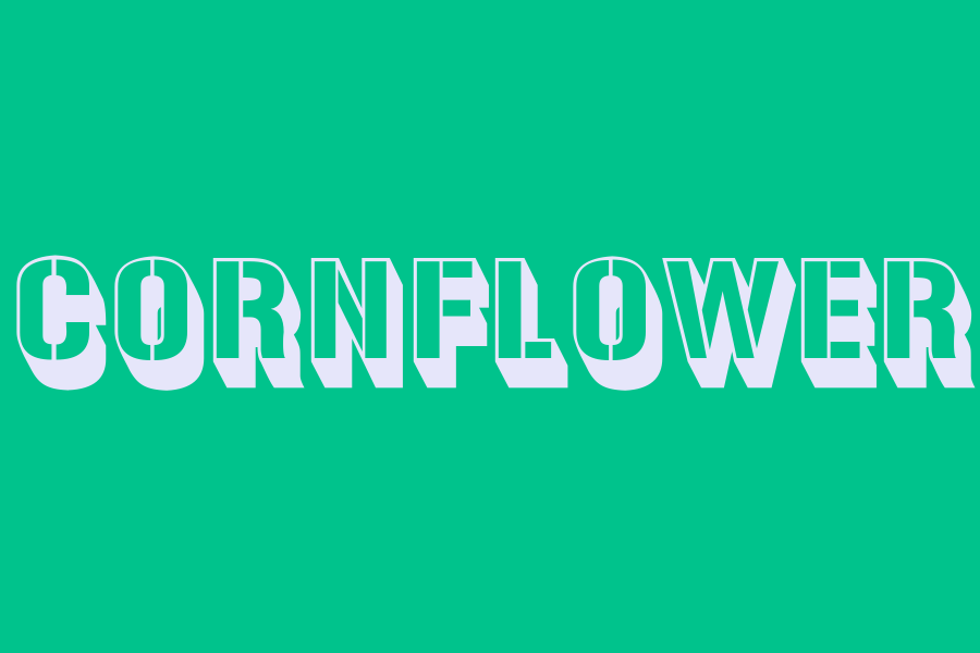 cornflower