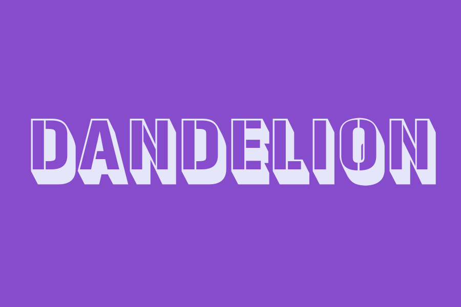 dandelion
