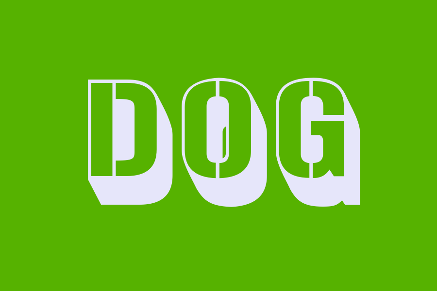 dog
