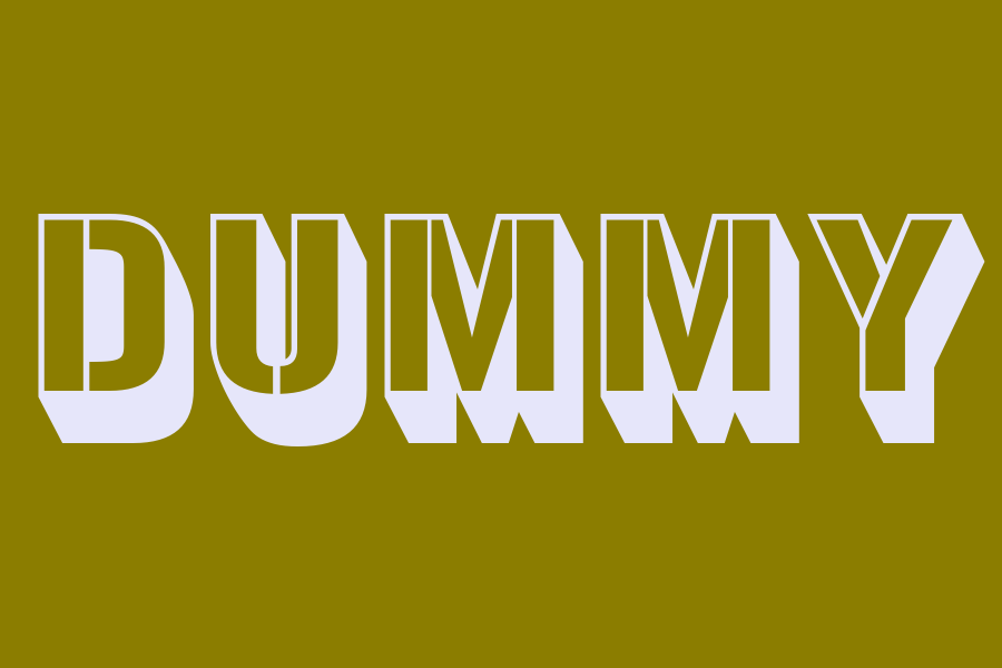 dummy