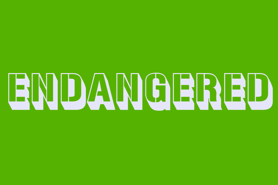 endangered