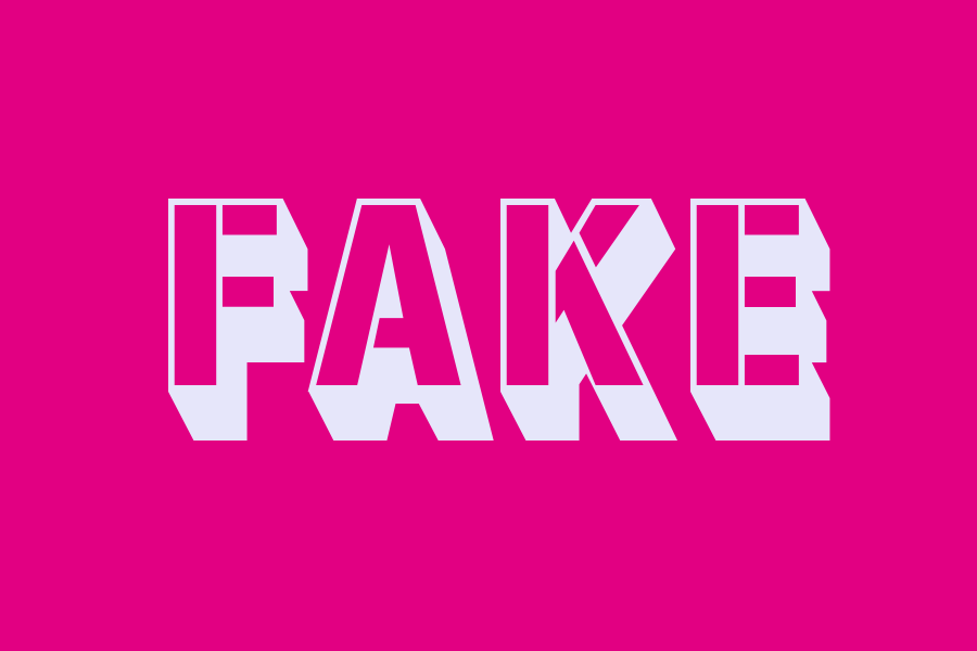 WHAT DOES FAKE MEAN visual data 8