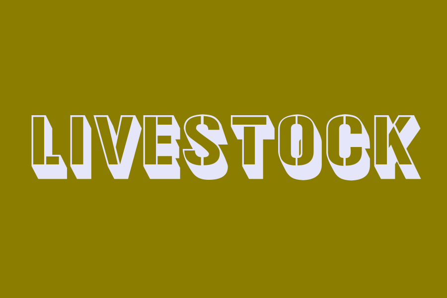 livestock