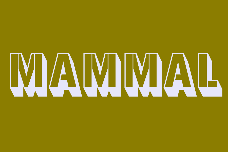 mammal