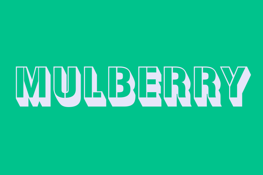 mulberry