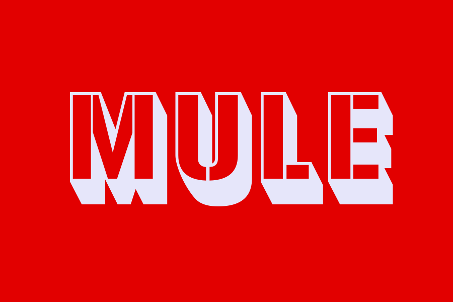 mule