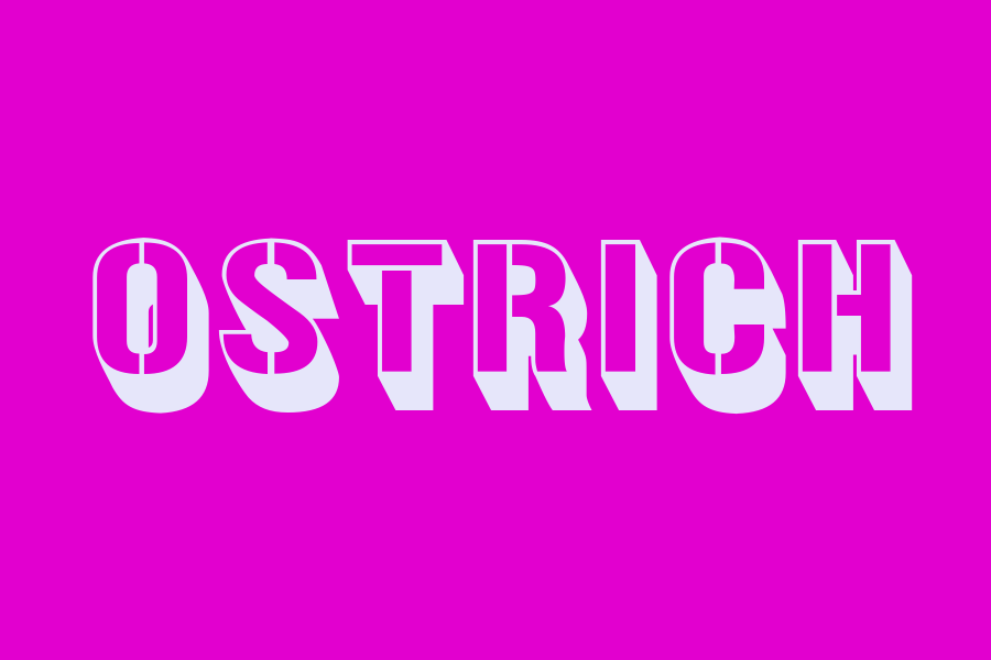 ostrich