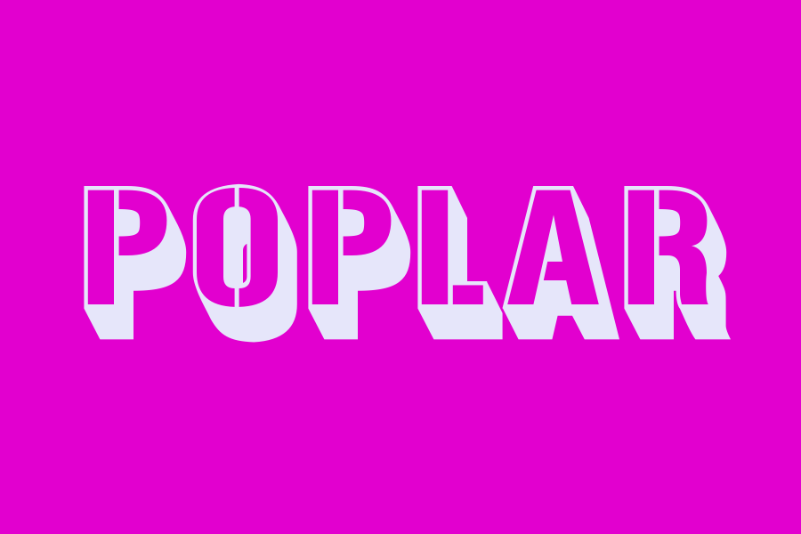 poplar
