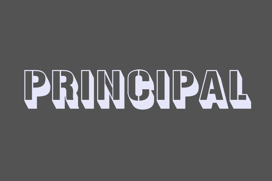 PRINCIPAL DICTIONARY visual data 8