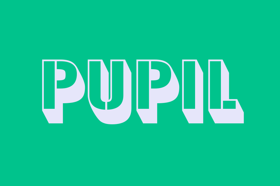 pupil