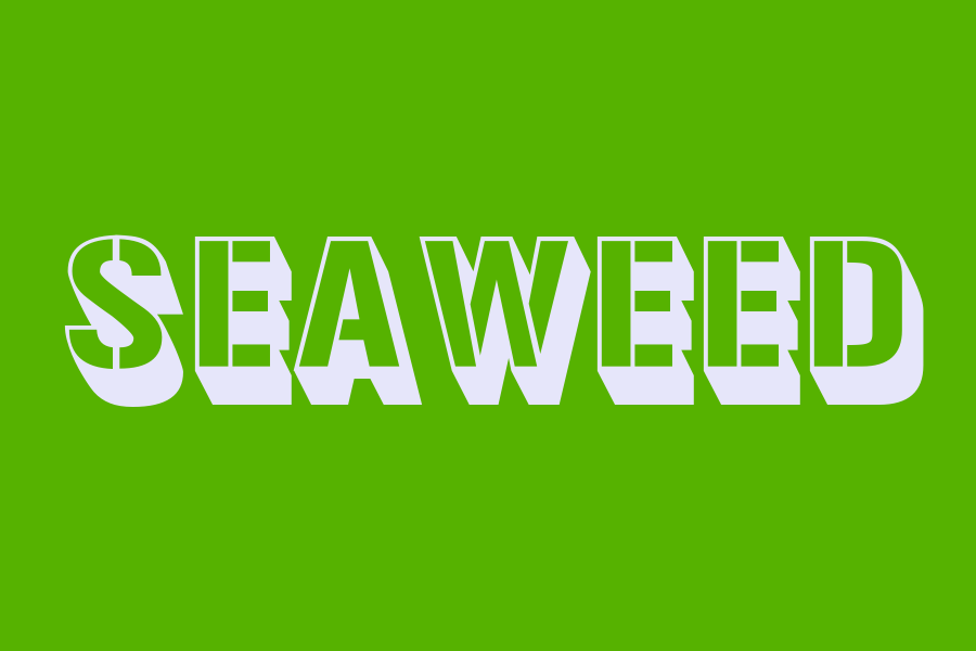 SEAWEED in different languages: 134 Translation Listening SEAWEED in different languages: 134 Translation Listening