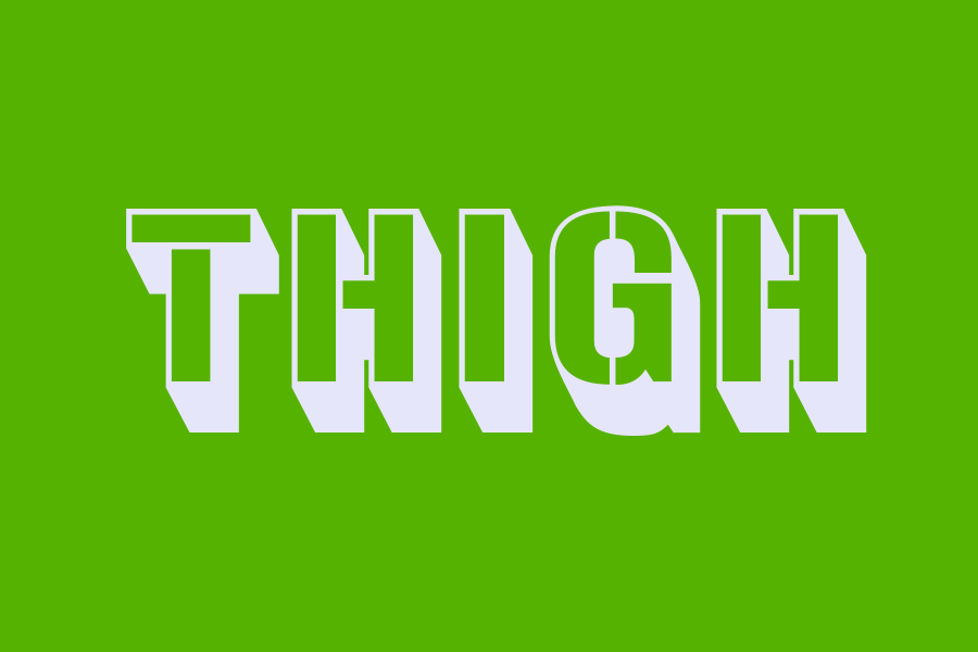 thigh