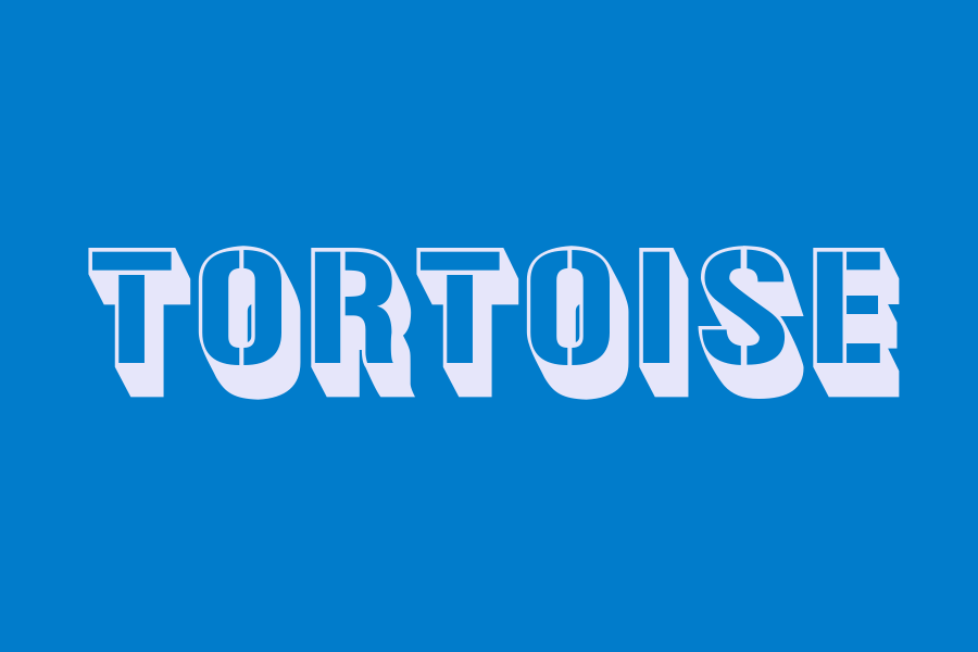 tortoise